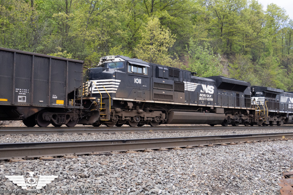 NS 1011